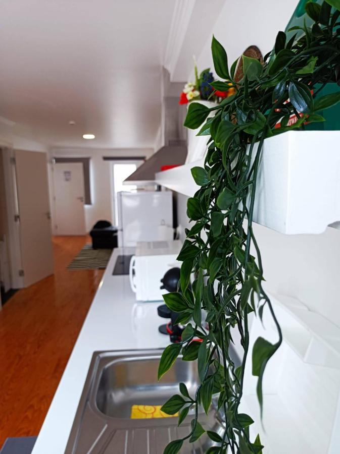 City Center House Ponta Delgada 외부 사진